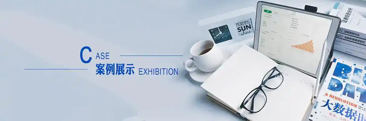 万全县软件开发
